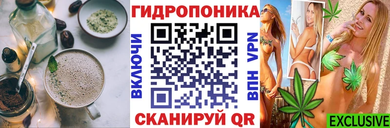 Canna-Cookies конопля  omg сайт  Вольск 
