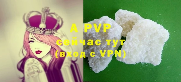 винт Пересвет