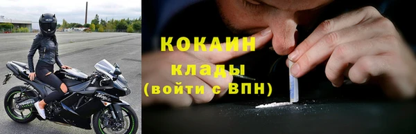 дмт Пестово