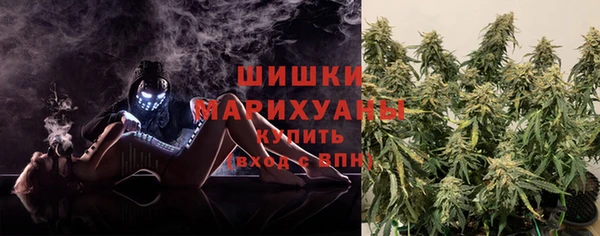 дмт Пестово