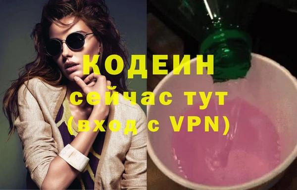 дмт Пестово