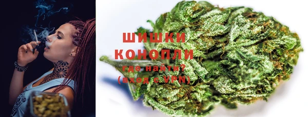 дмт Пестово