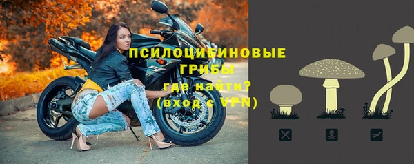 винт Пересвет