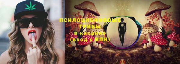 ECSTASY Пенза