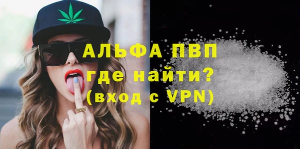 винт Пересвет