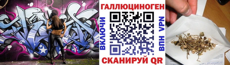 Псилоцибиновые грибы Psilocybe  дарнет шоп  Вольск 