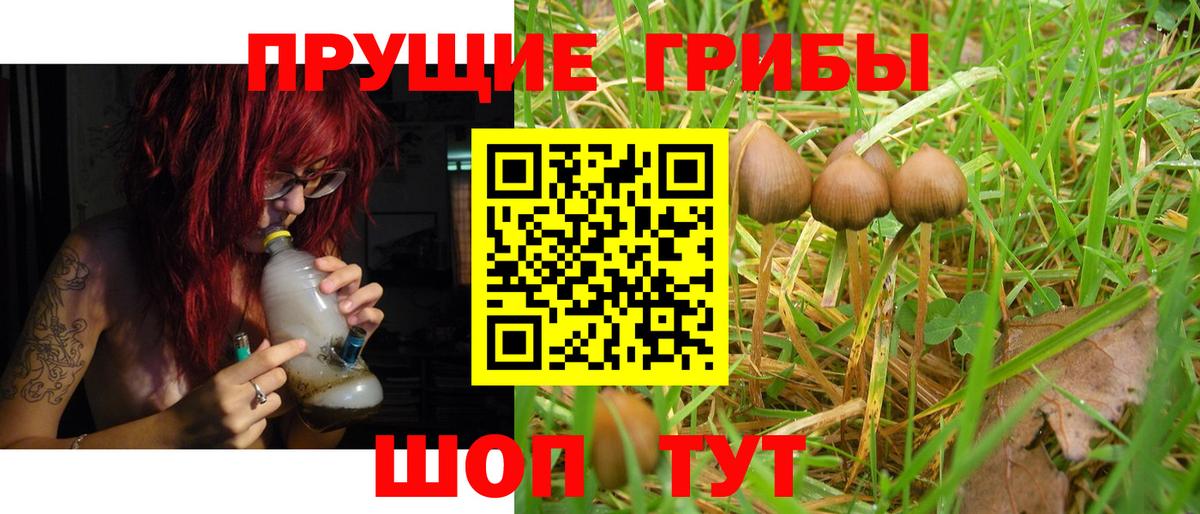 Галлюциногенные грибы GOLDEN TEACHER  Вход с VPN  Вольск 