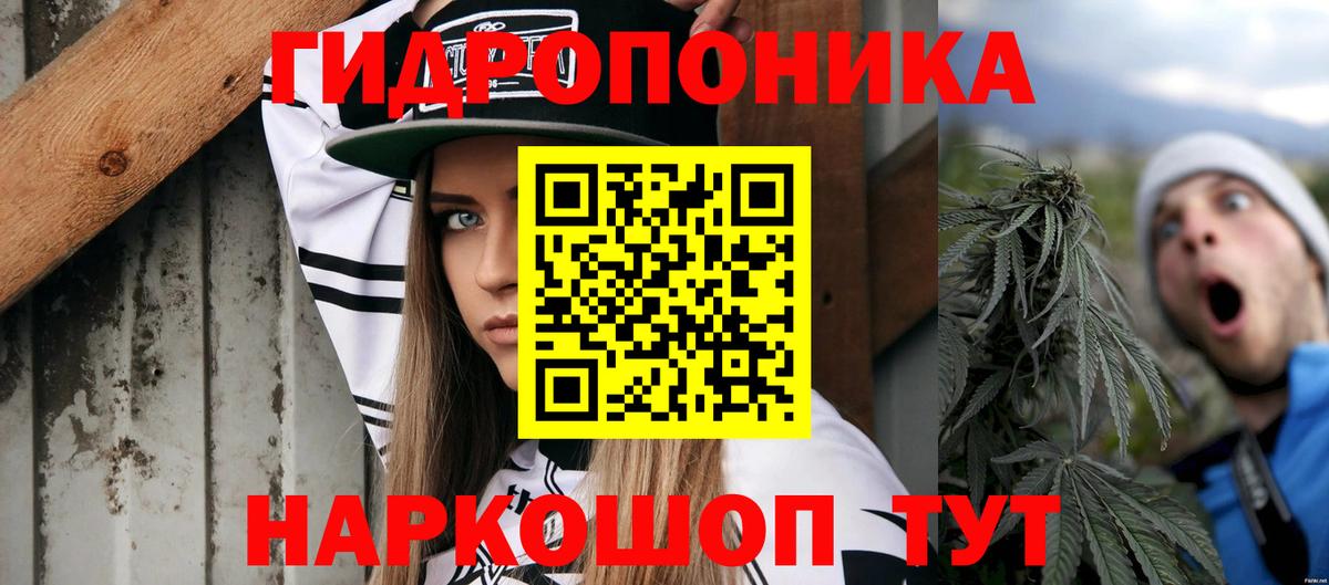Конопля тримм  Бошки марихуана тримм  Вход с VPN  Канабис Bruce Banner  Бошки марихуана Bruce Banner  Вольск 